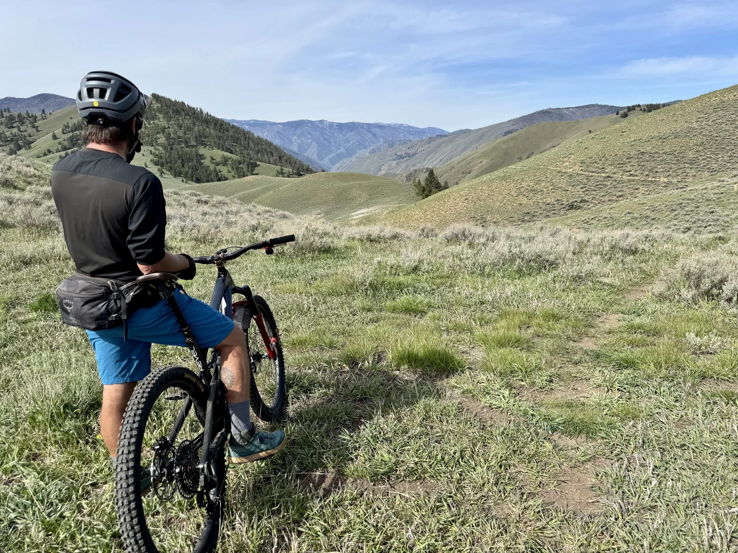 A person with a helmet on a mountain bike overlooking rolling green hills and distant mountains under a clear blue sky.