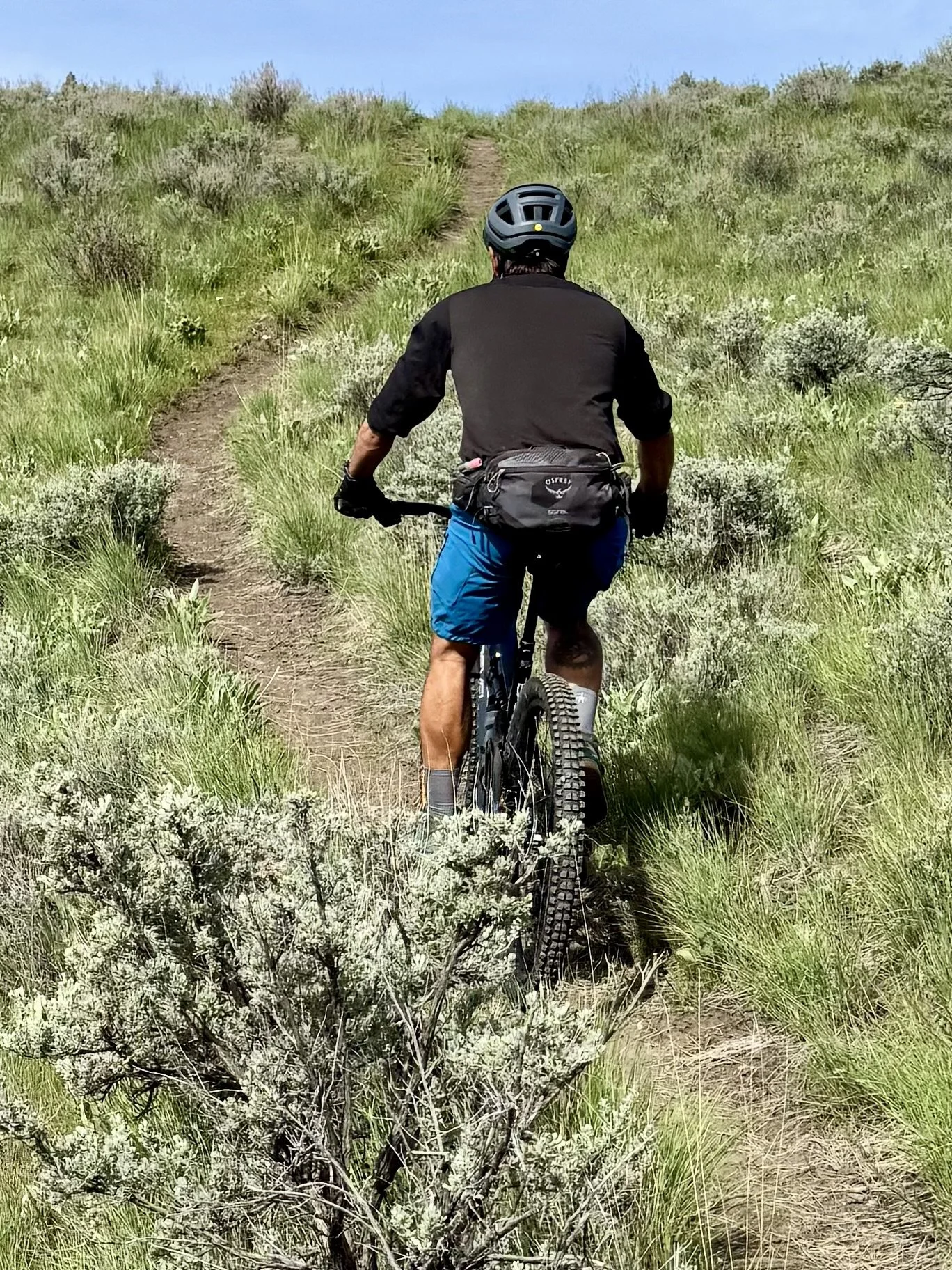 Man riding mountain bike on a narrow dirt trail through grassy and shrub-covered terrain, under a blue sky.