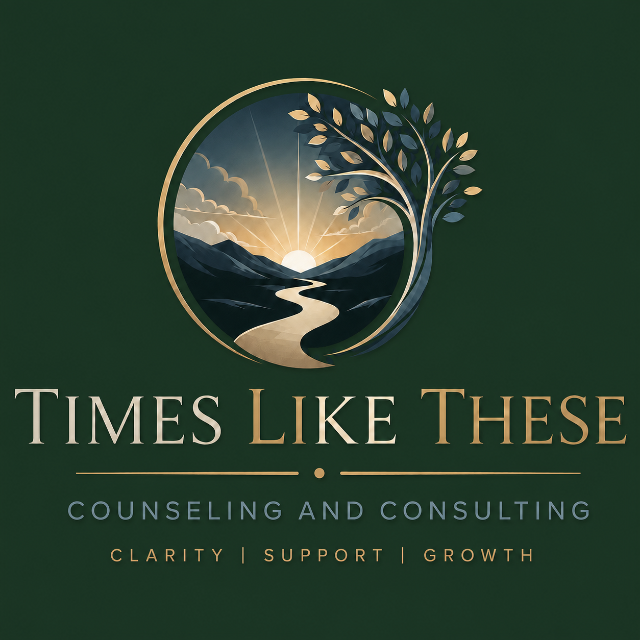 Times Like These Counseling And Consulting