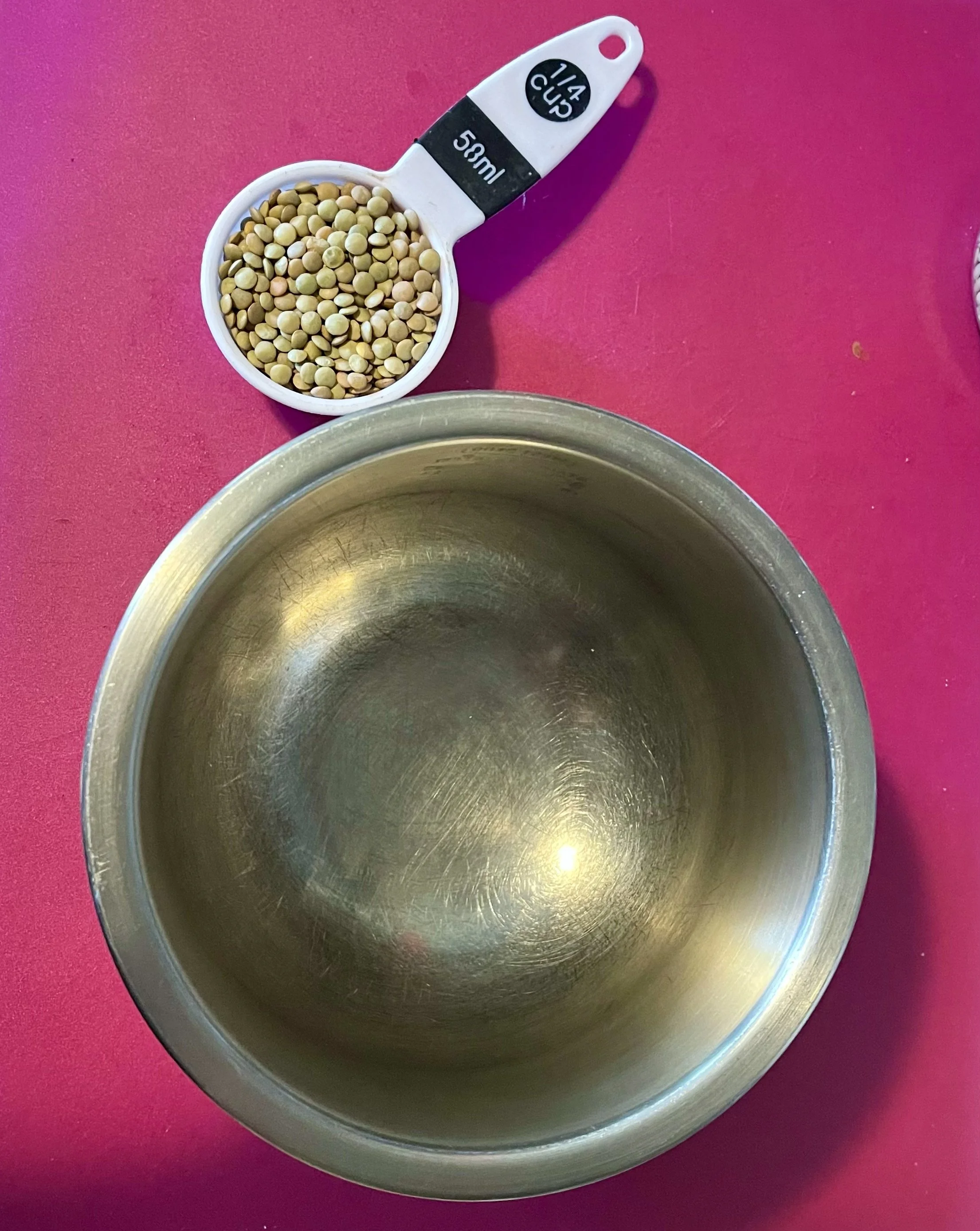 lentil-00001.jpeg