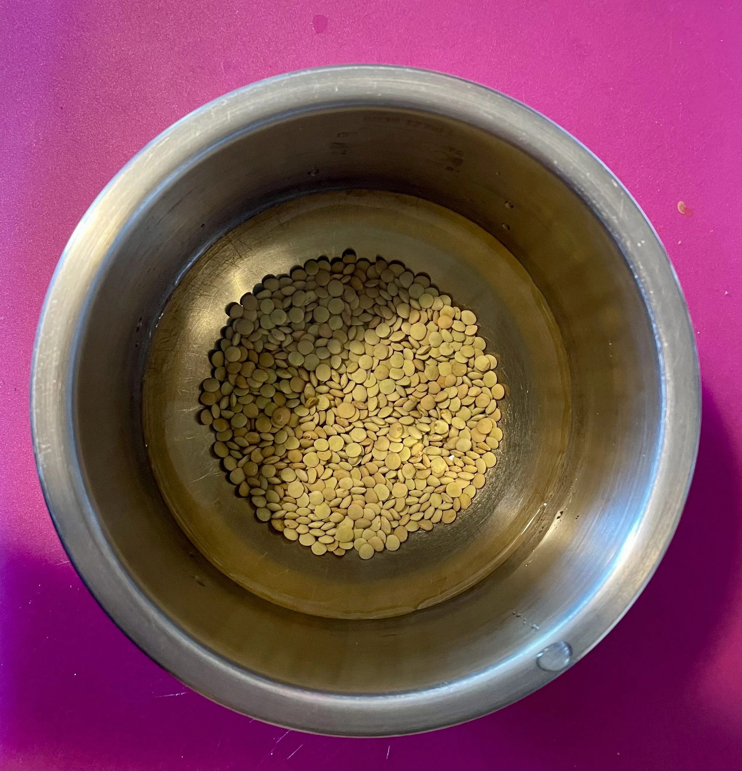 lentil-00002.jpeg