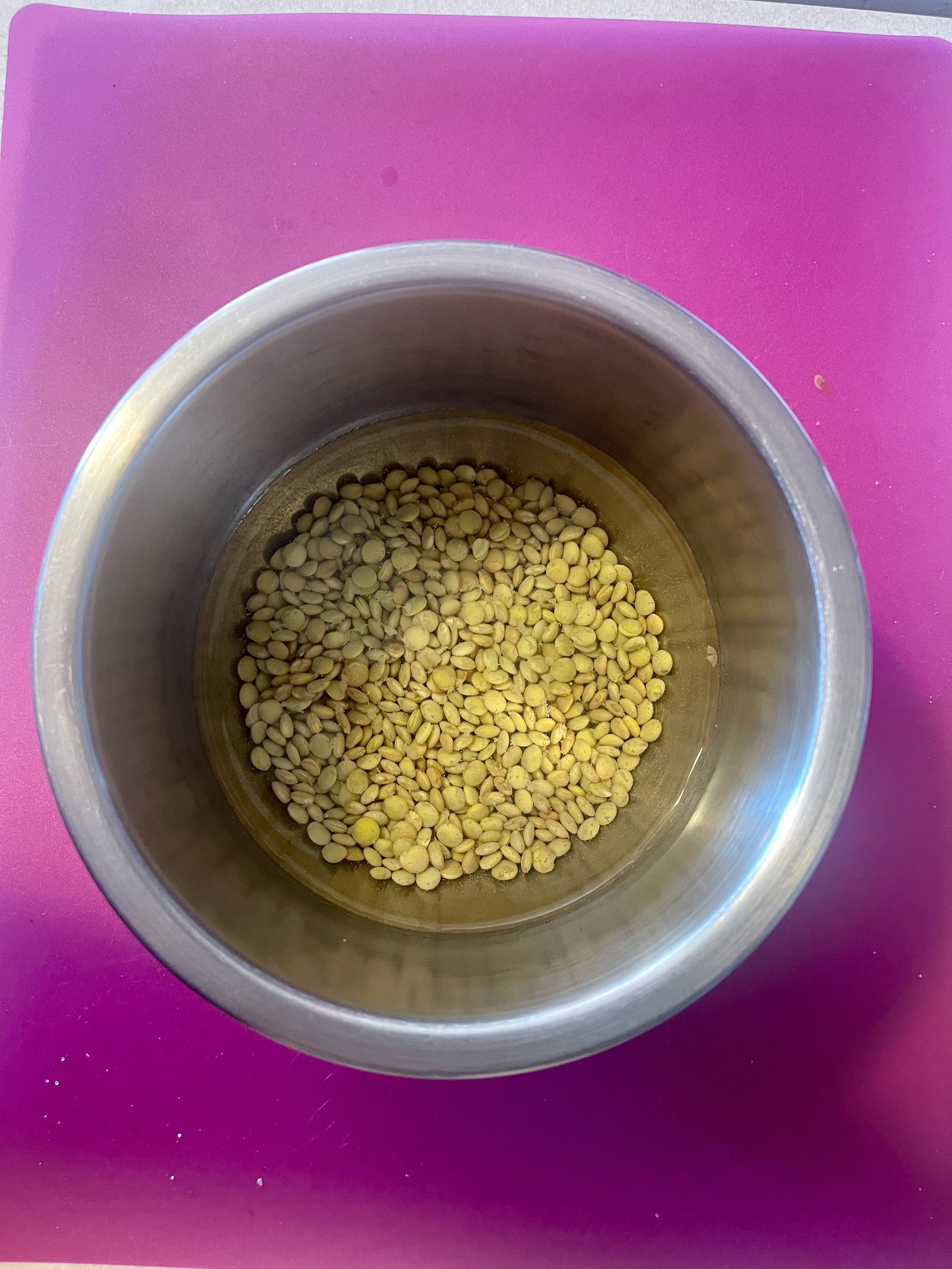 lentil-00003.jpeg