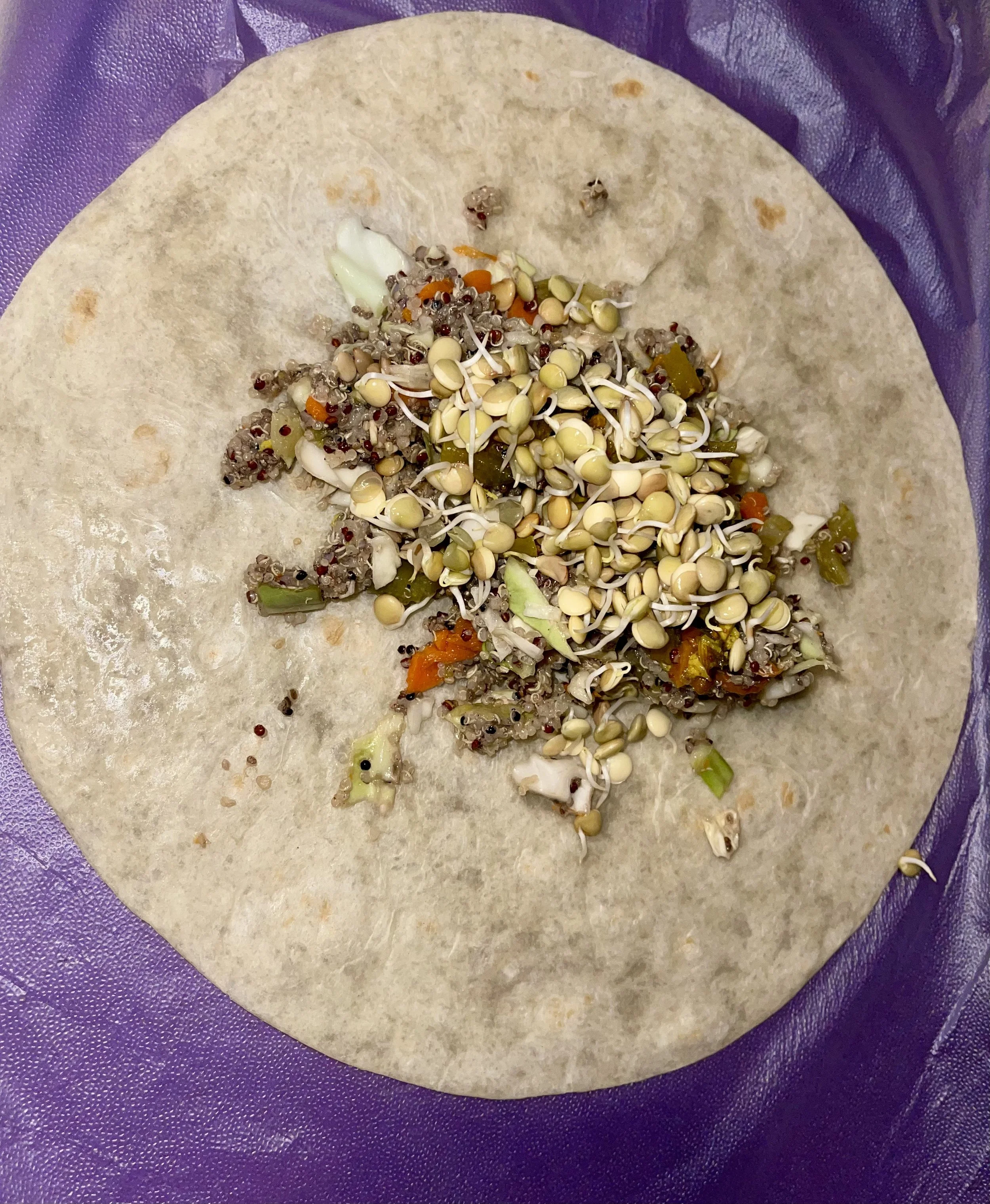 lentil-00011.jpeg