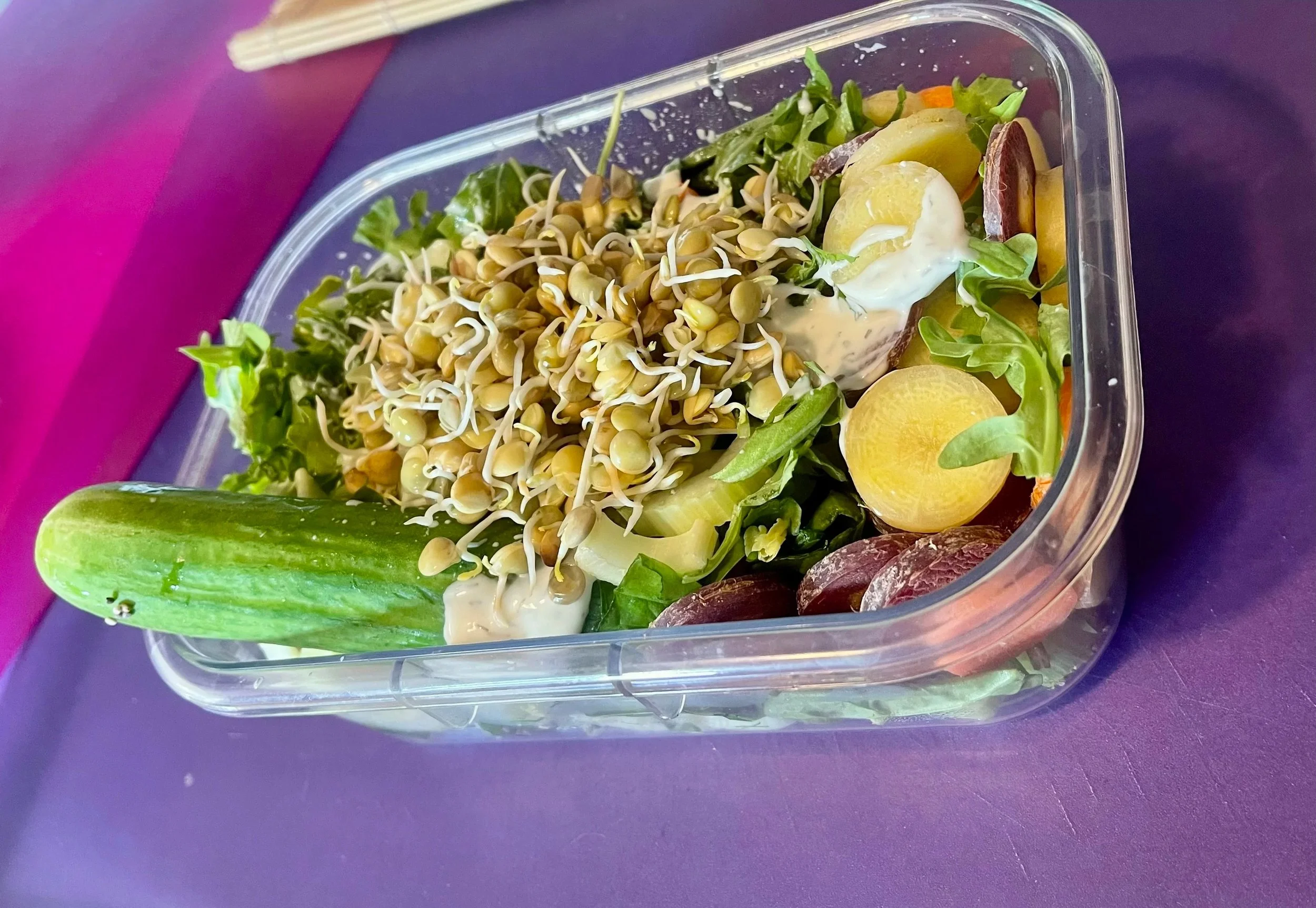 The 36-Hour Protein Biohack: Dirt-Cheap Gas-Free Lentil Sprouts