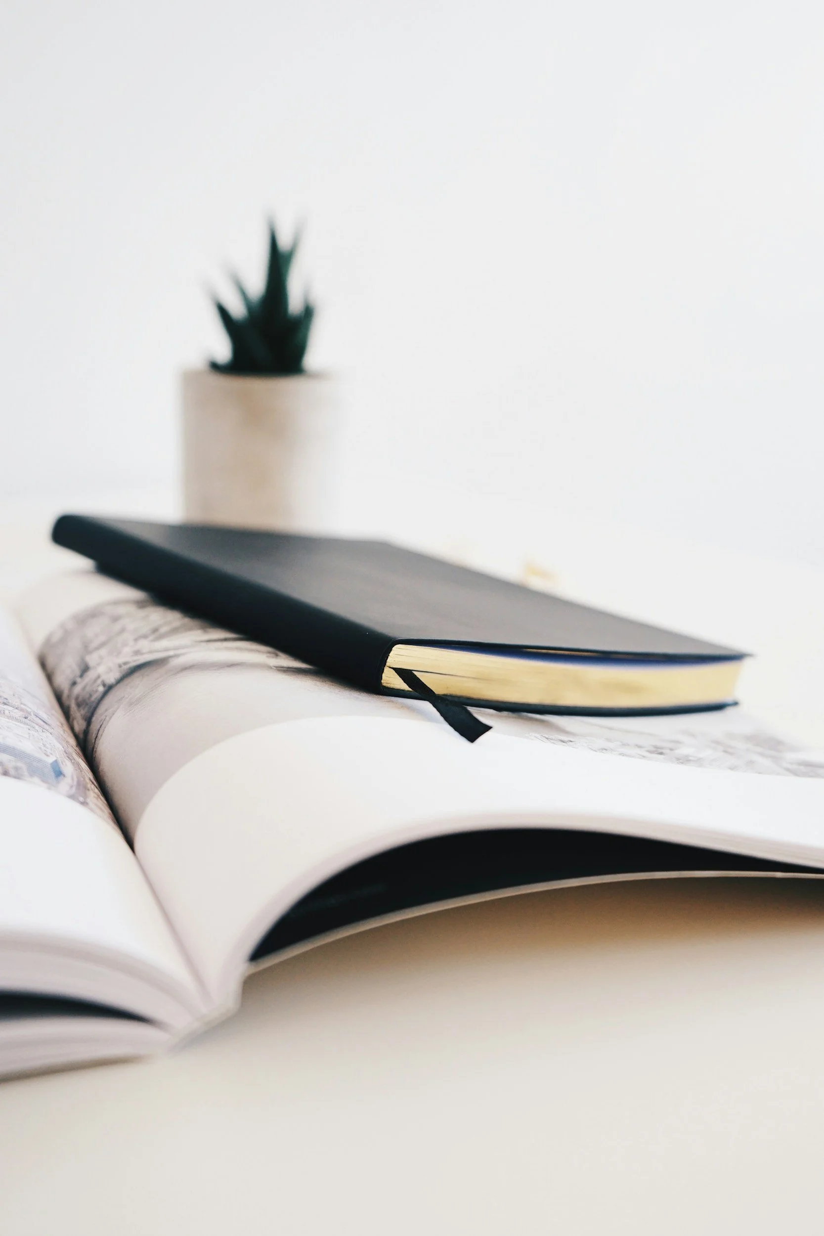 A closed journal with a plant in the background