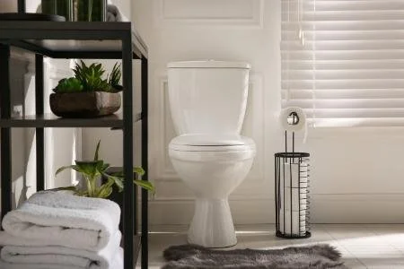 Bathroom with a toilet, black shelving unit with potted plants and towels, a metallic toilet paper holder, and a window with closed blinds.