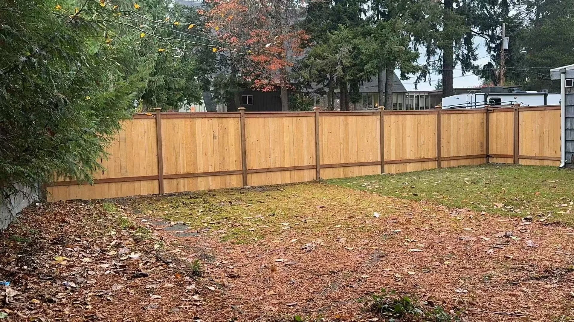 Residential backyard with a new wooden fence, fall leaves on the ground, and trees in the background.