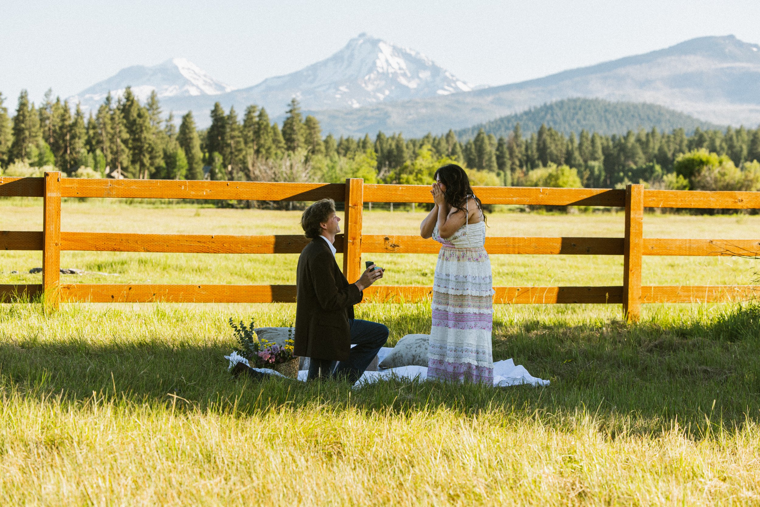 A man proposing marriage to a woman in a grassy outdoor setting with mountains in the background.