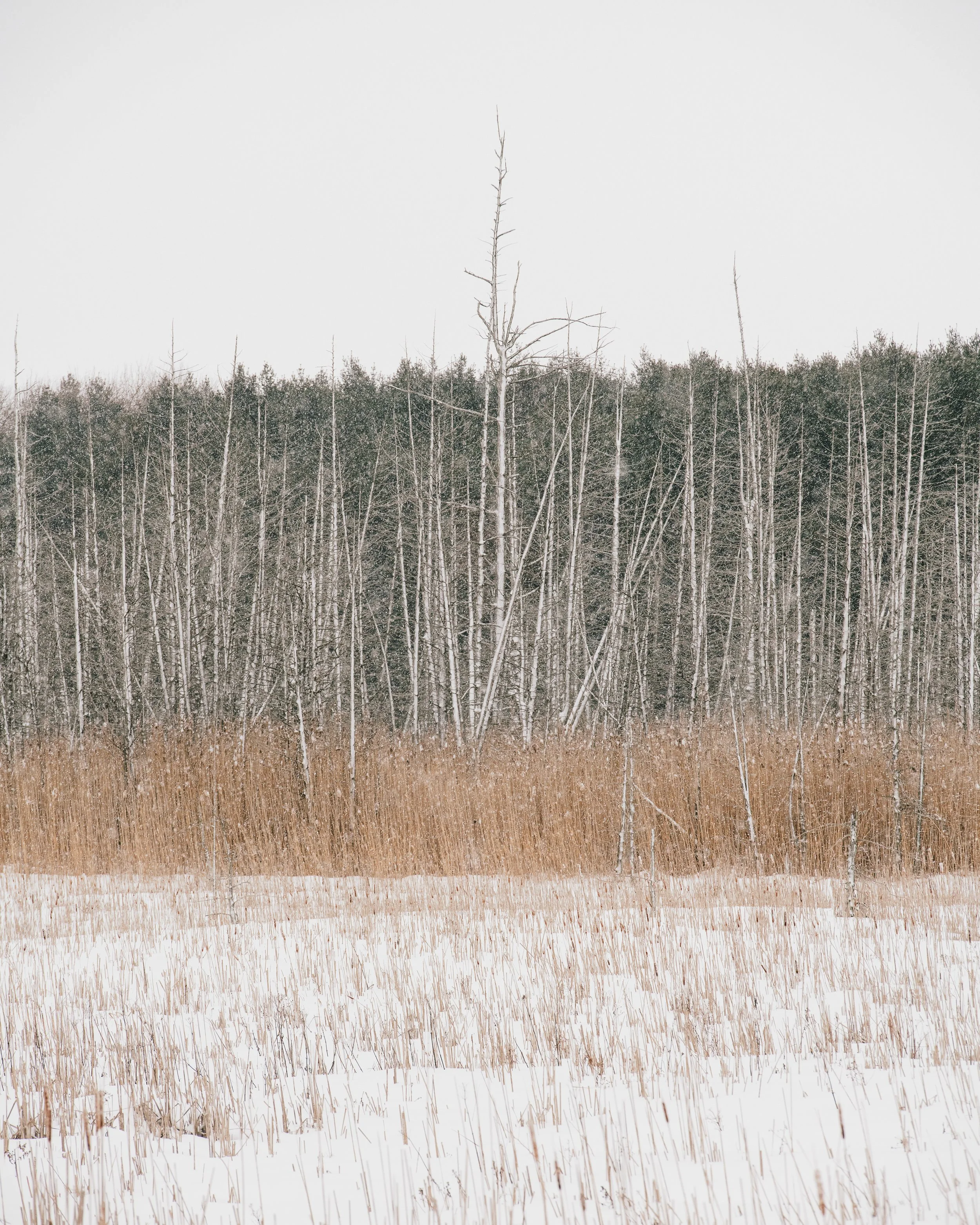 _DSC0452-Edit.jpg