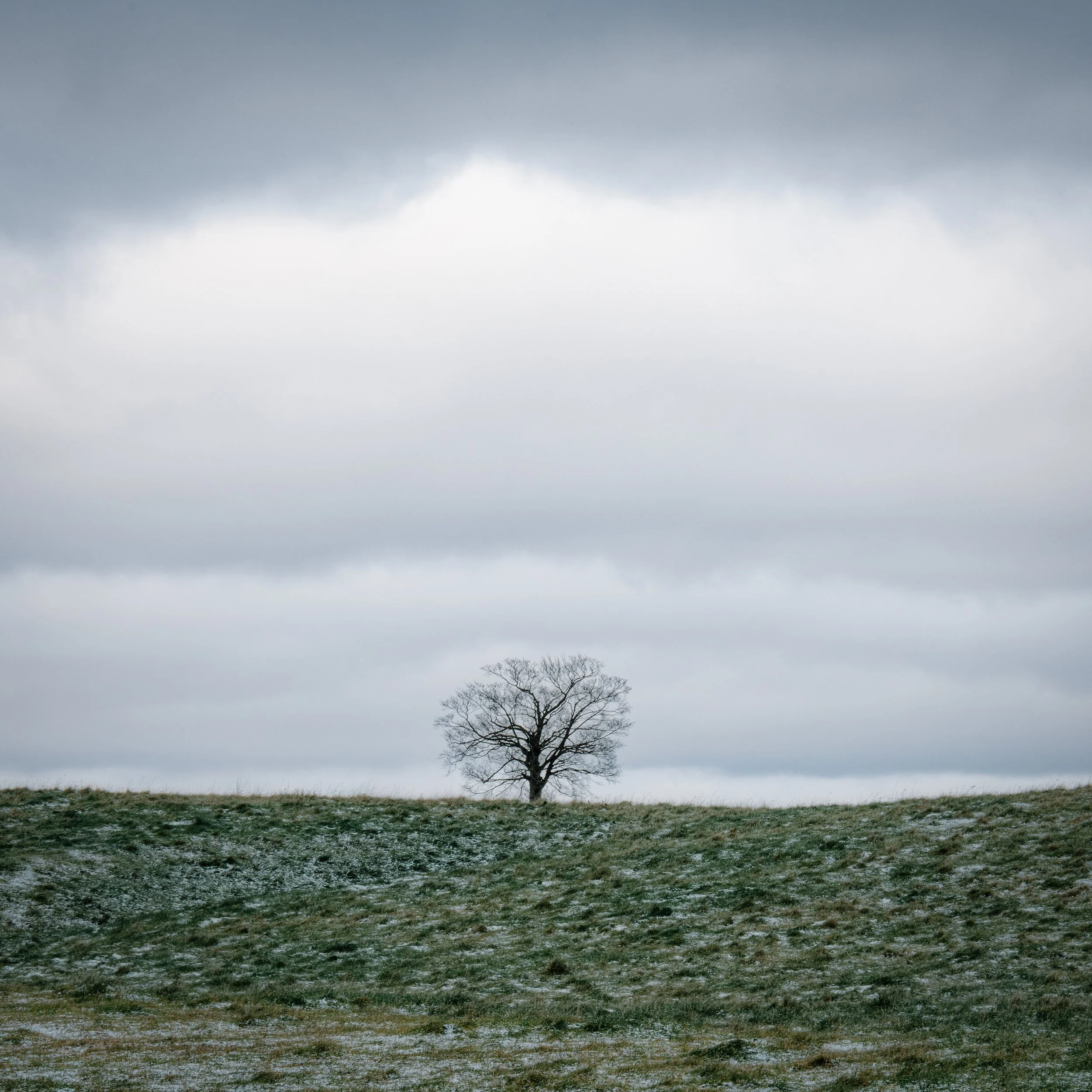 _DSC3136-Edit.jpg