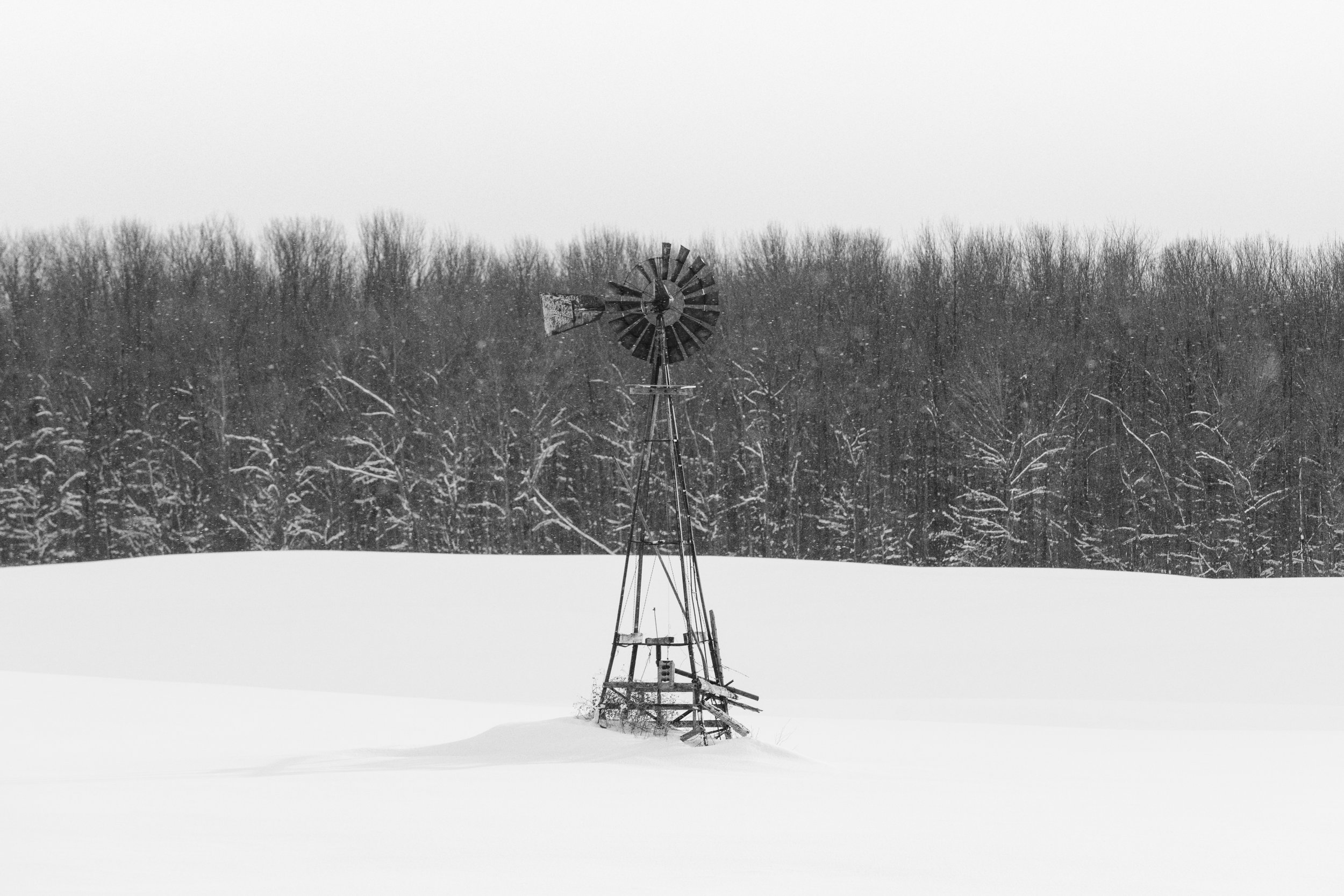 _DSC1806-Enhanced-NR-Edit.jpg