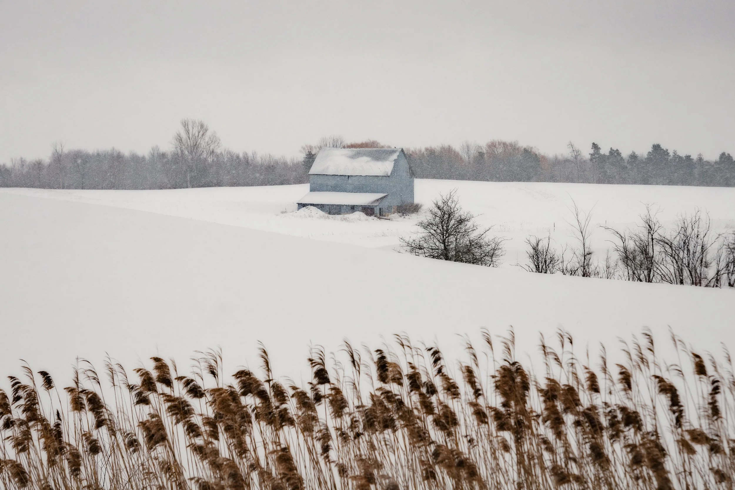 _DSC0383-Edit.jpg