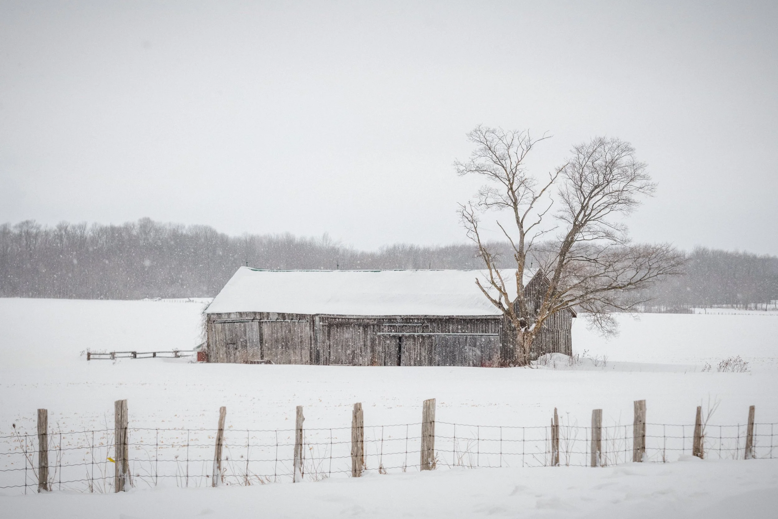 _DSC0461-Edit.jpg