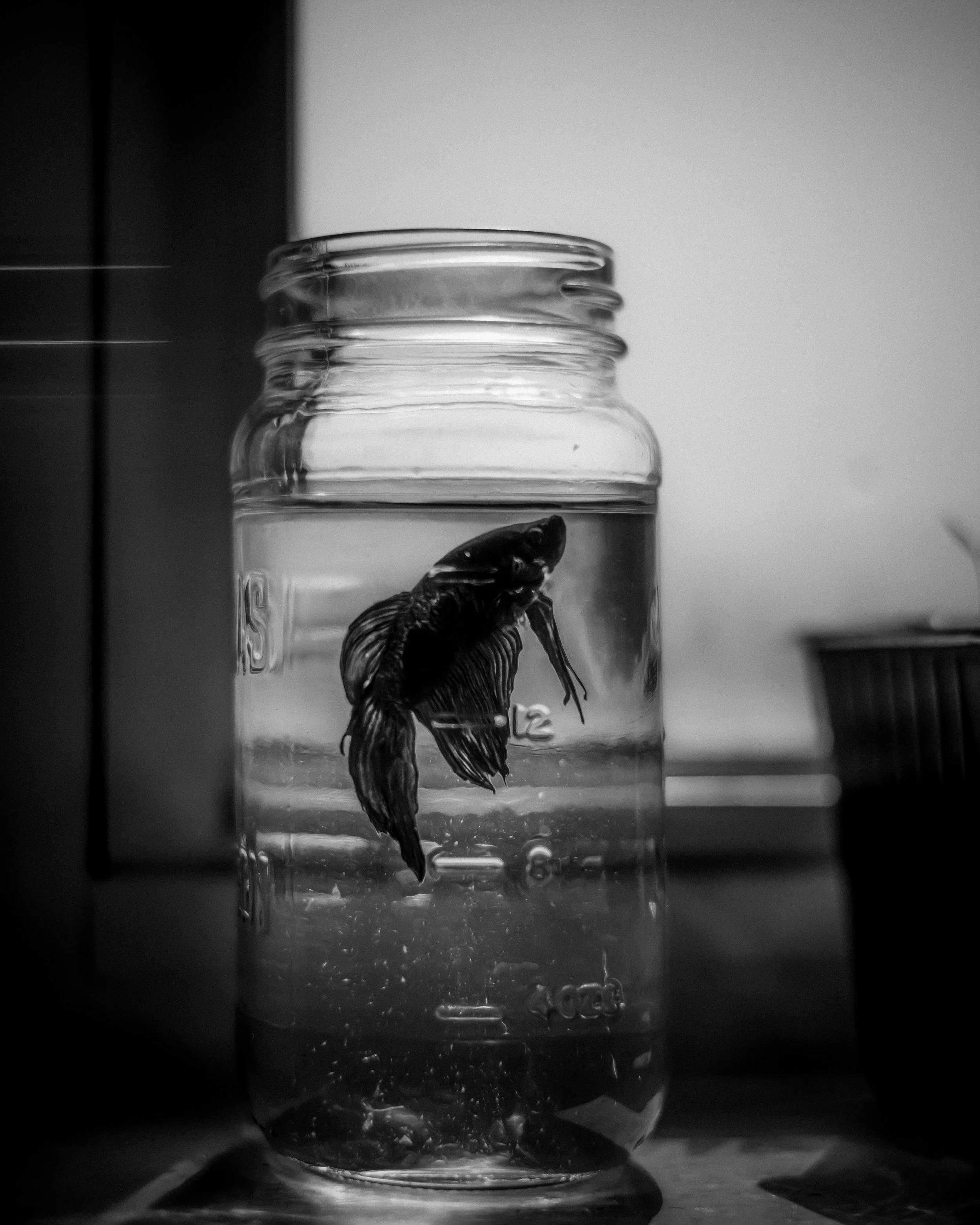 _DSC4757-Edit.jpg