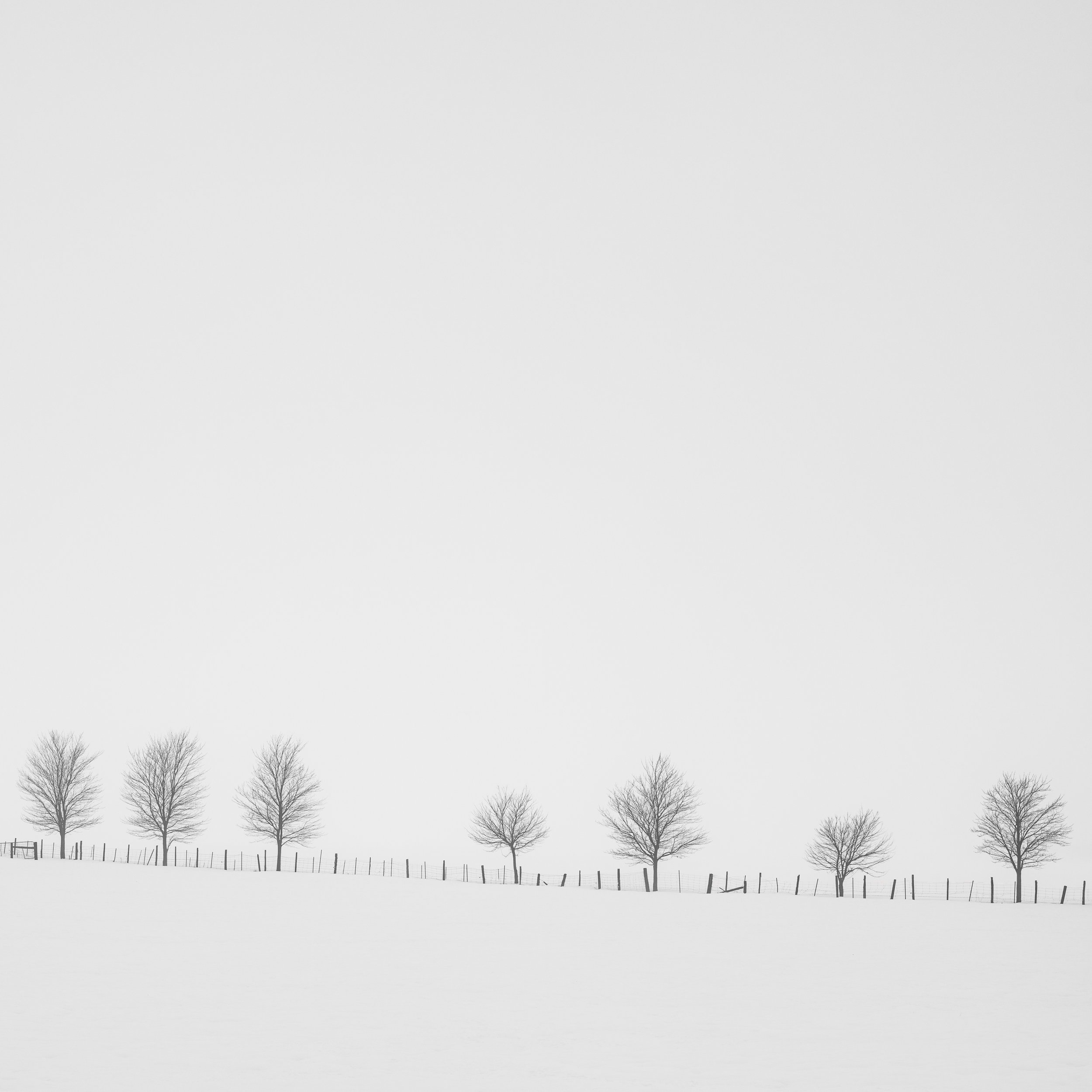 _DSC6609-Edit.jpg
