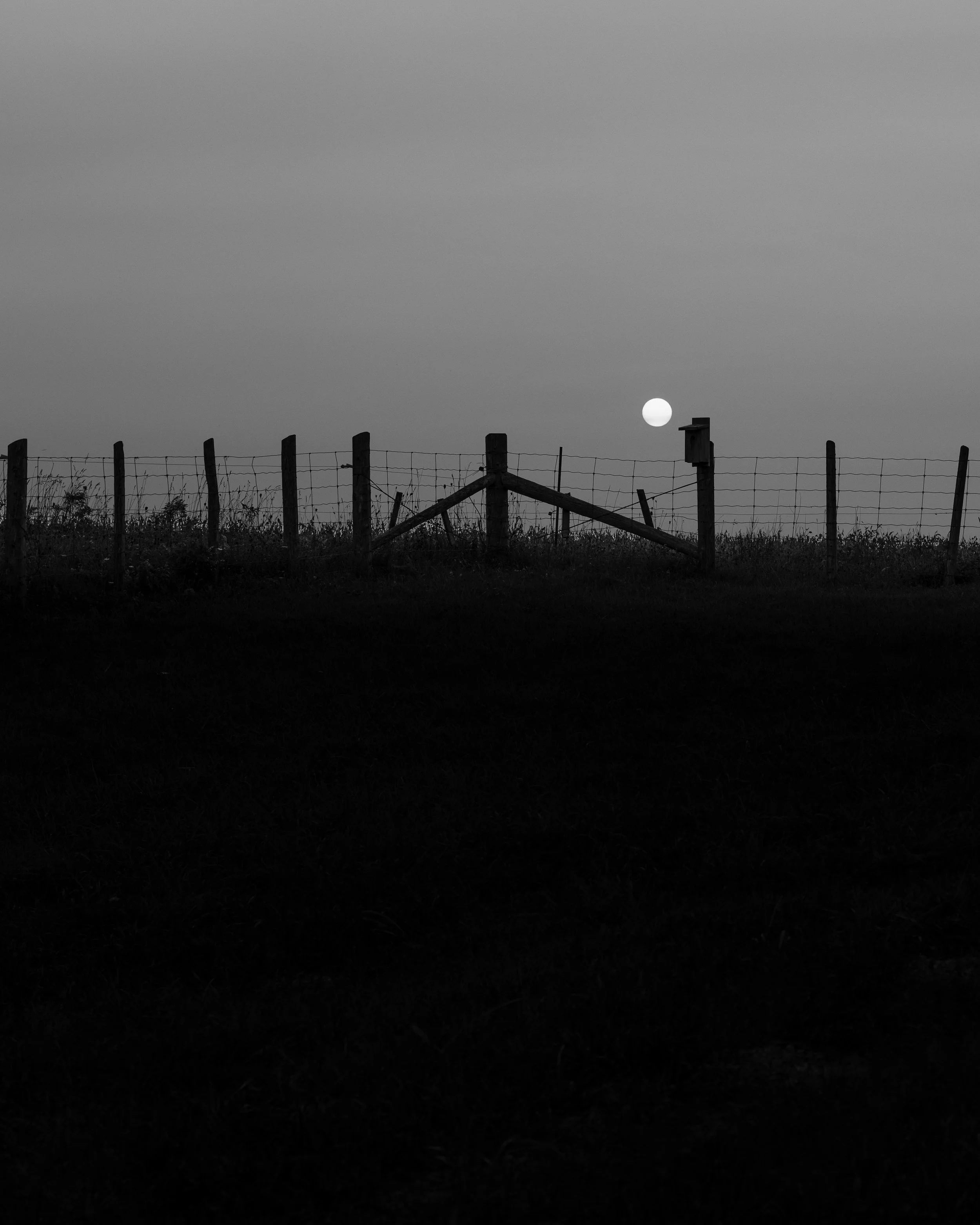 _DSC6919.jpg