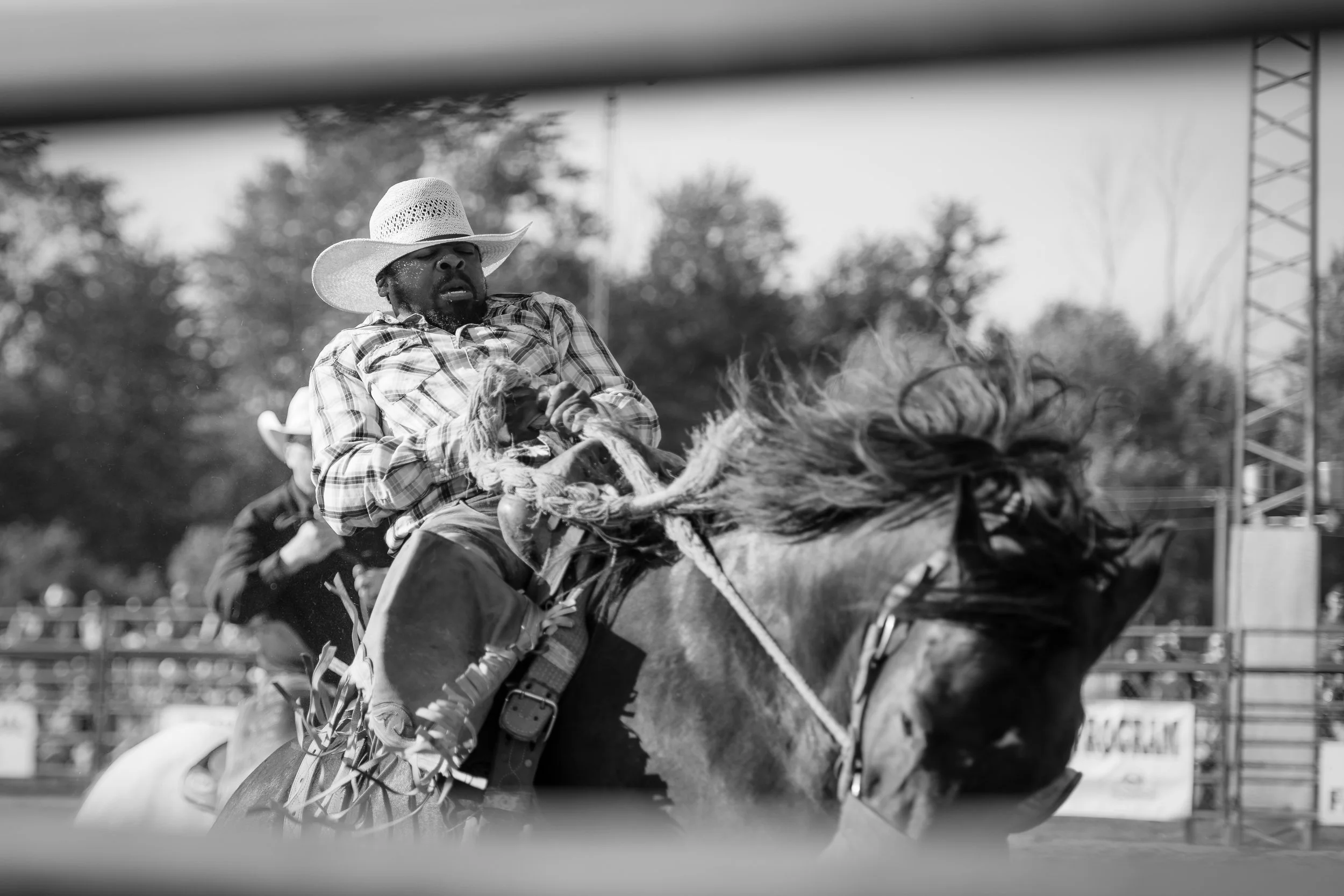 _DSC2852-Edit-2.jpg
