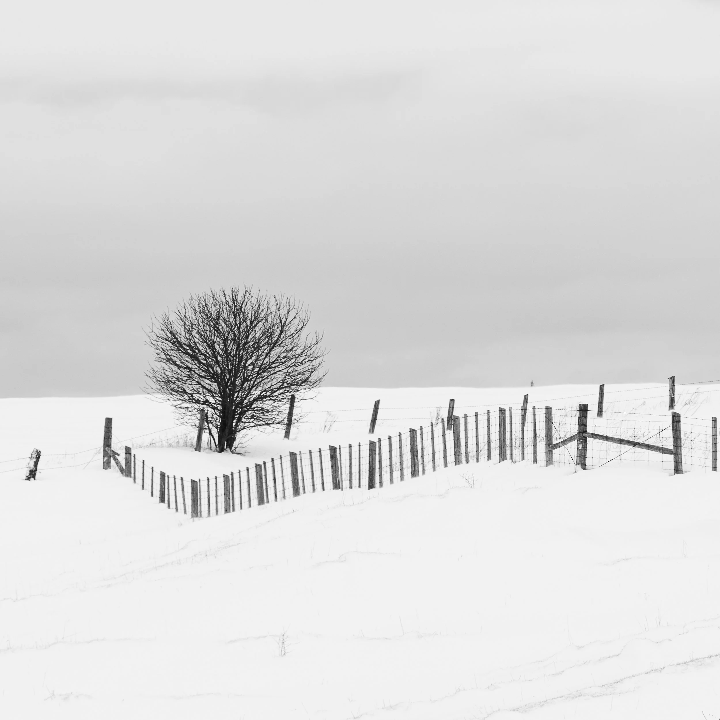 _DSC9766.jpg