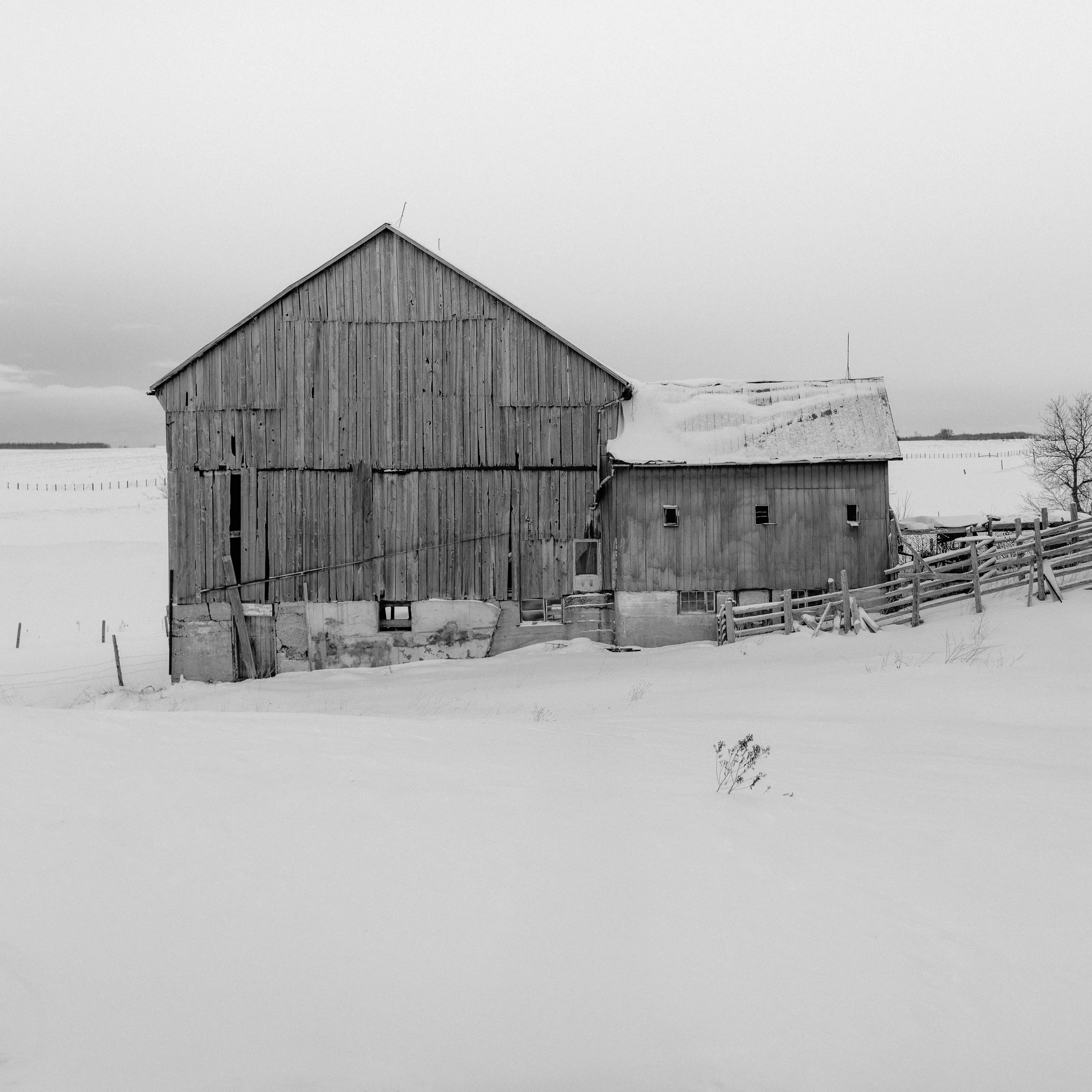 _DSC9769-Edit-3-2.jpg