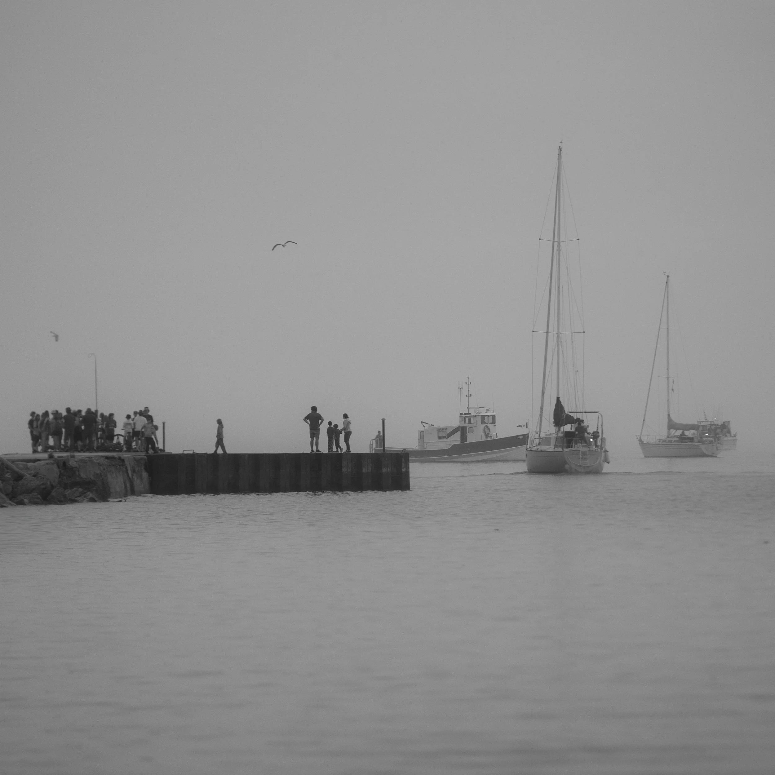 _DSC7187-Edit-2.jpg