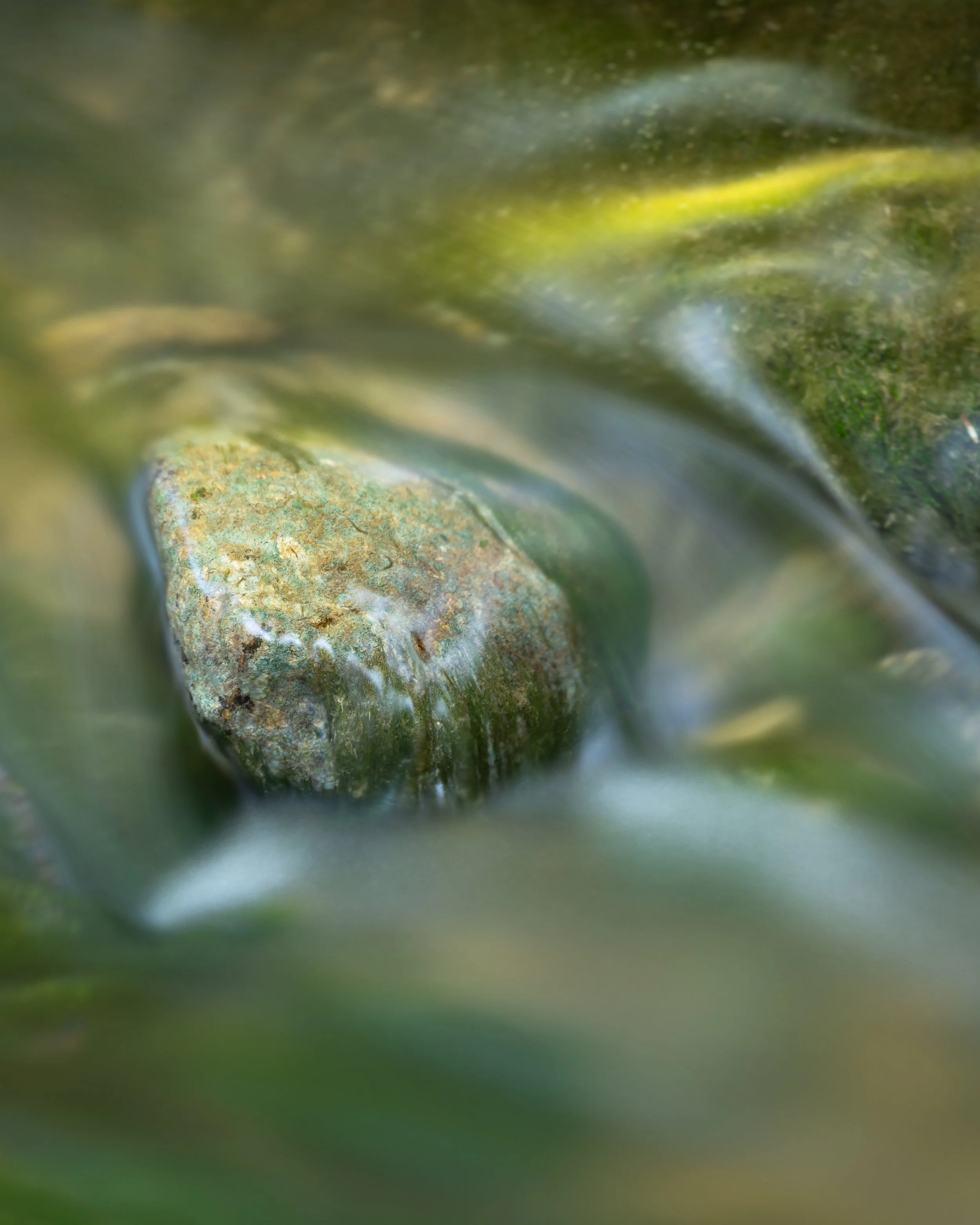 _DSC8222.jpg