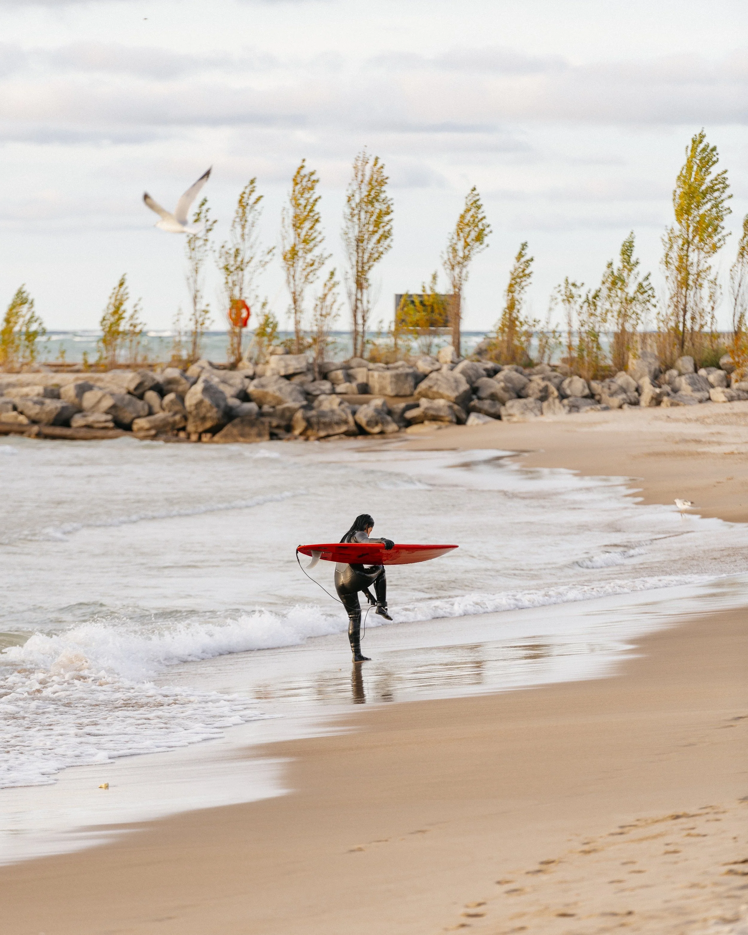 _DSC6077-Edit.JPG