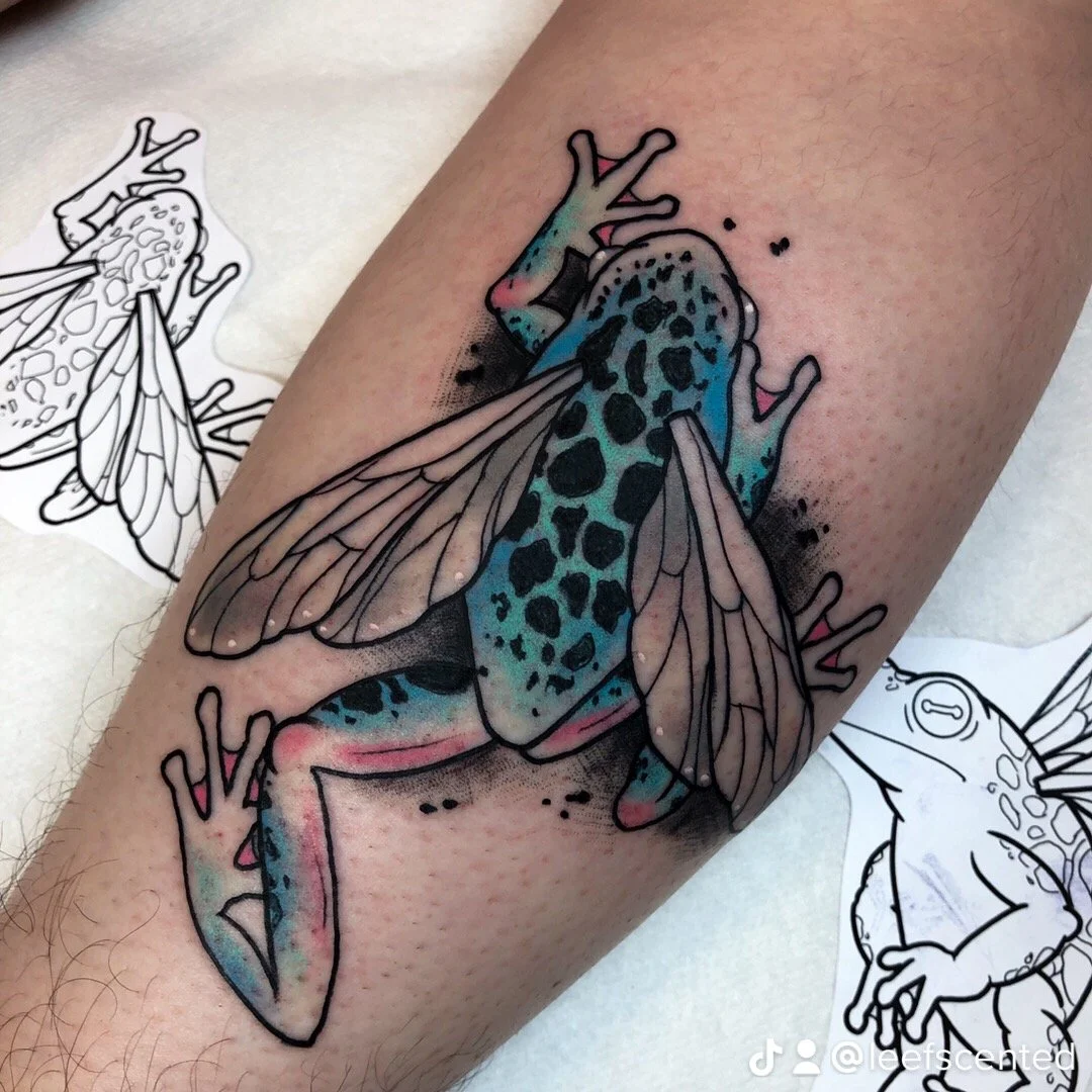 Blue Frogbug (top view).JPG