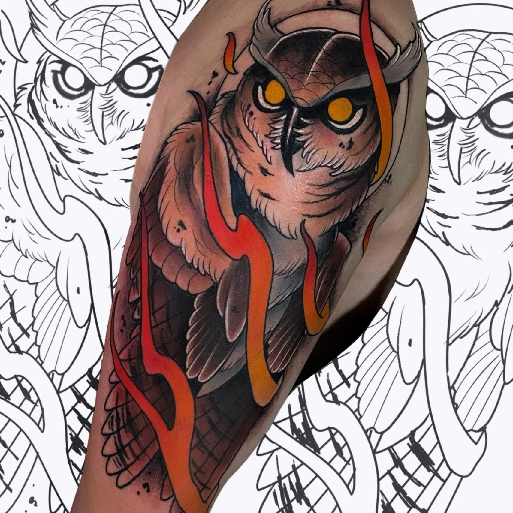 Flame Owl.jpg