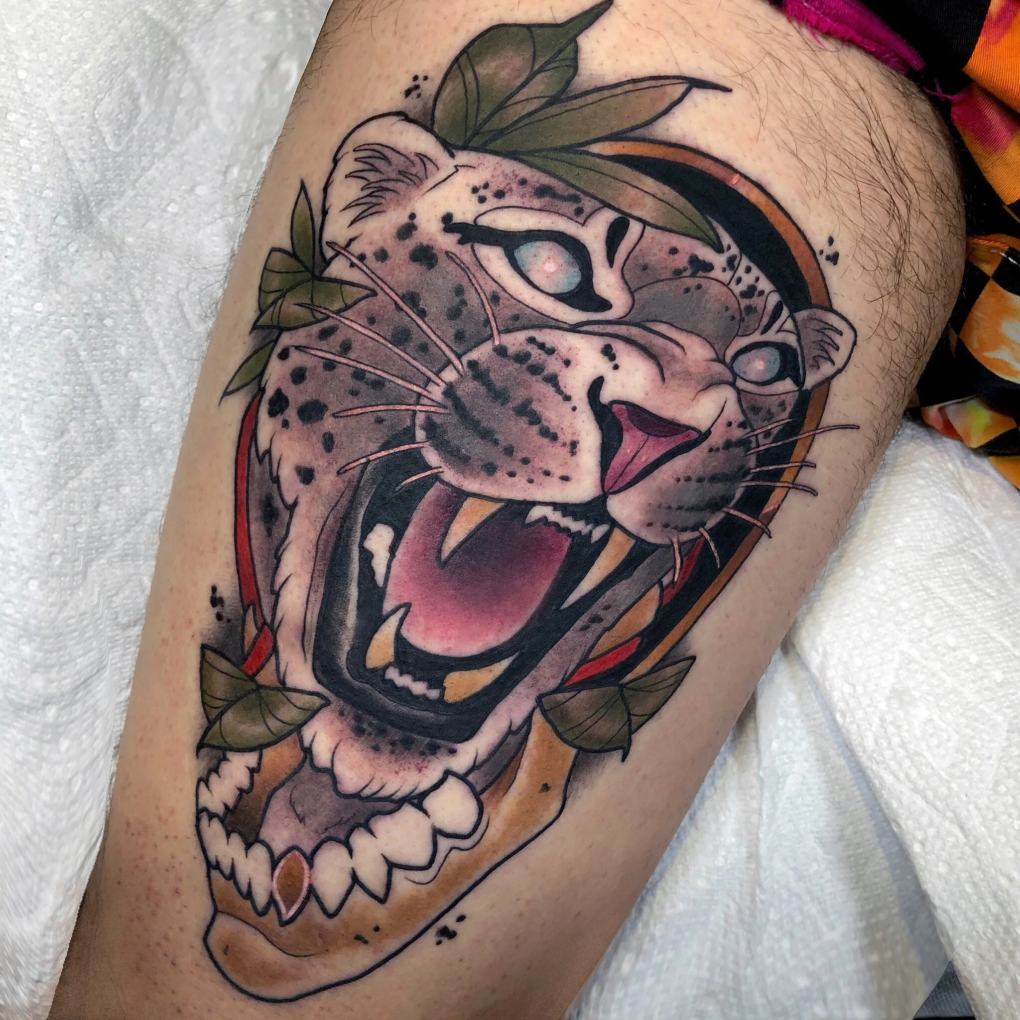 Snow Leopard and Jawbone.jpg