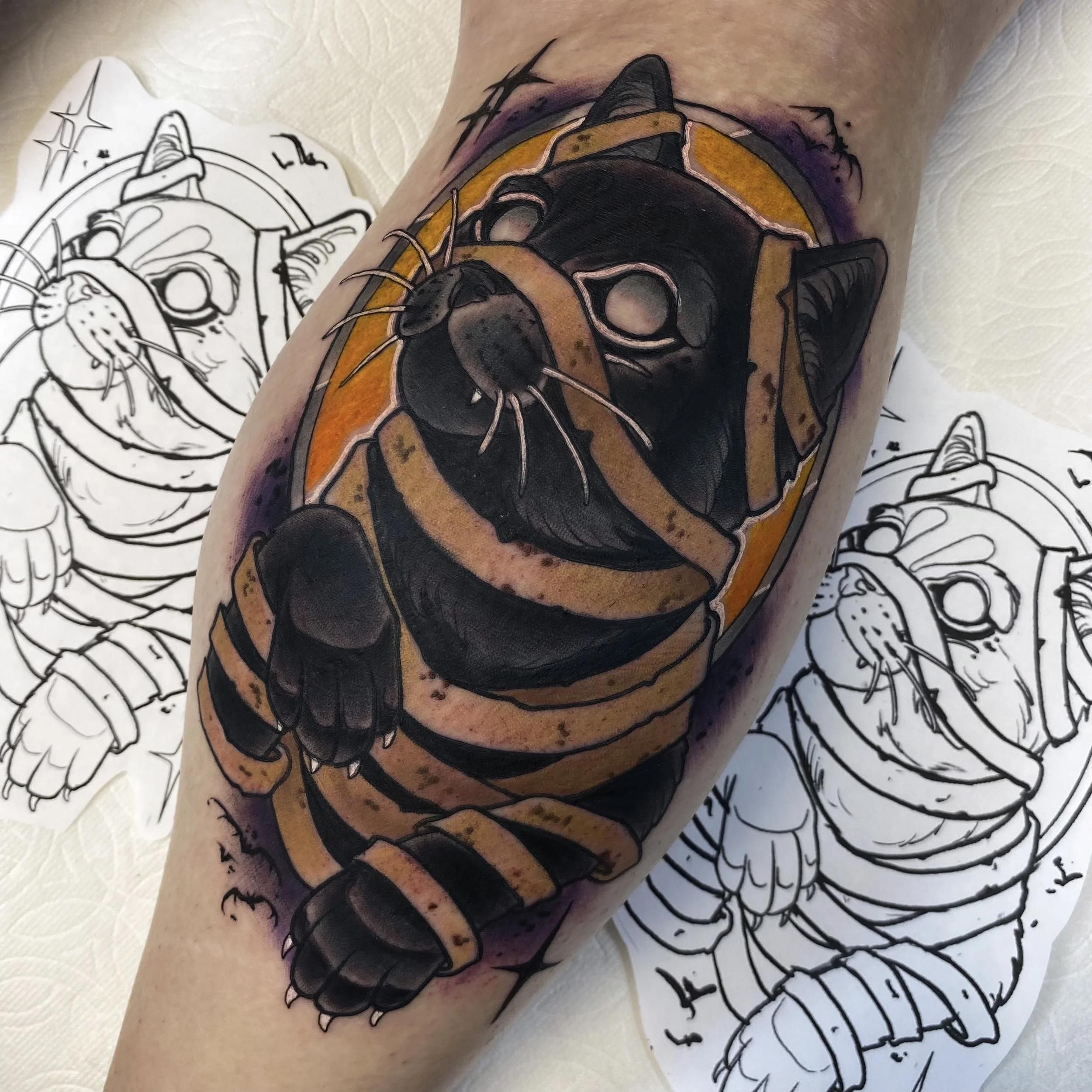 Mummy Cat.jpg
