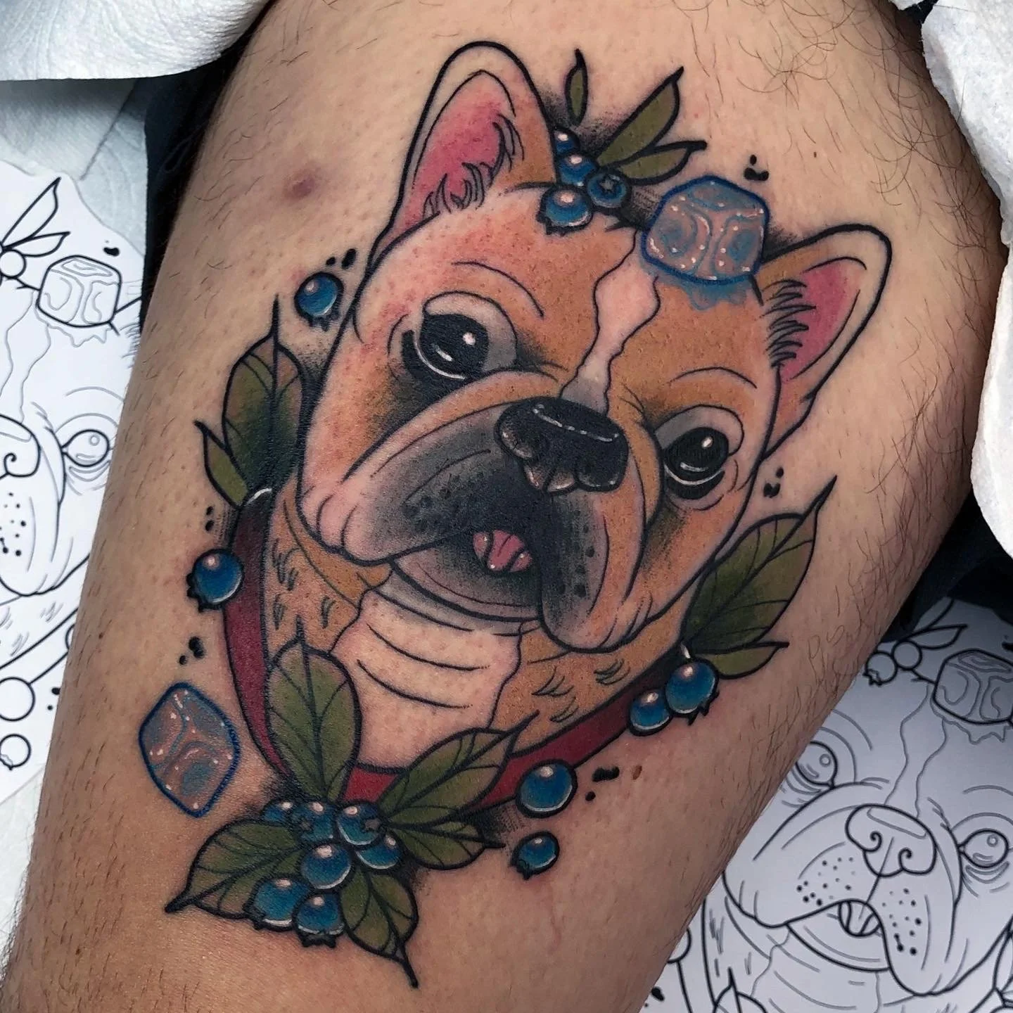 Gus Dog Portrait.jpg