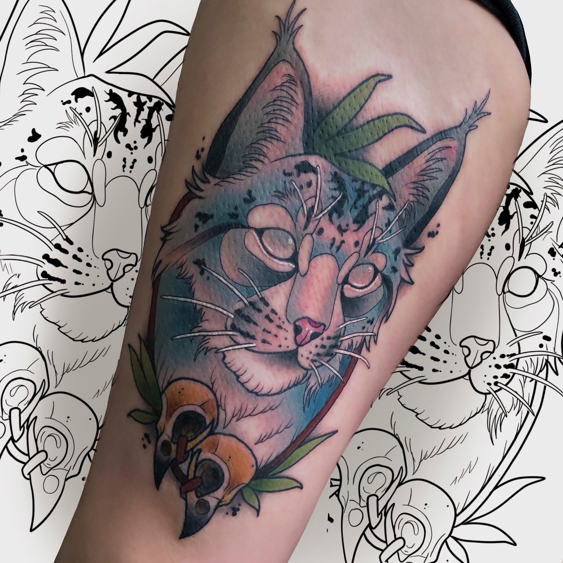 Lynx and Bird Skulls.jpg