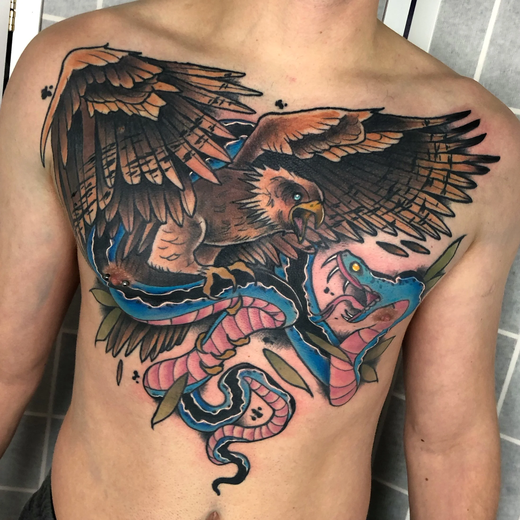 Bird and Snake Large Scale.jpg