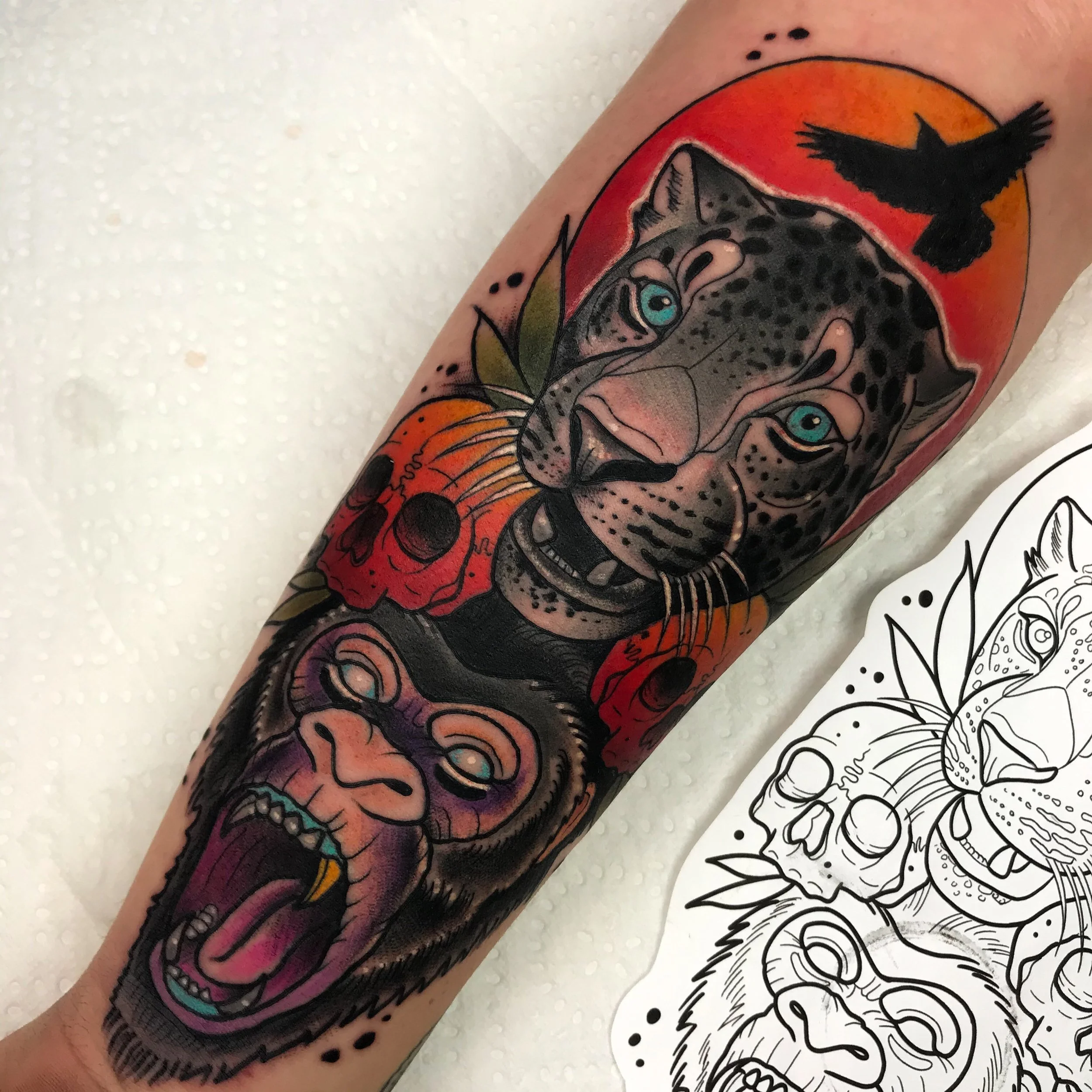 Leopard and Monkey.JPG