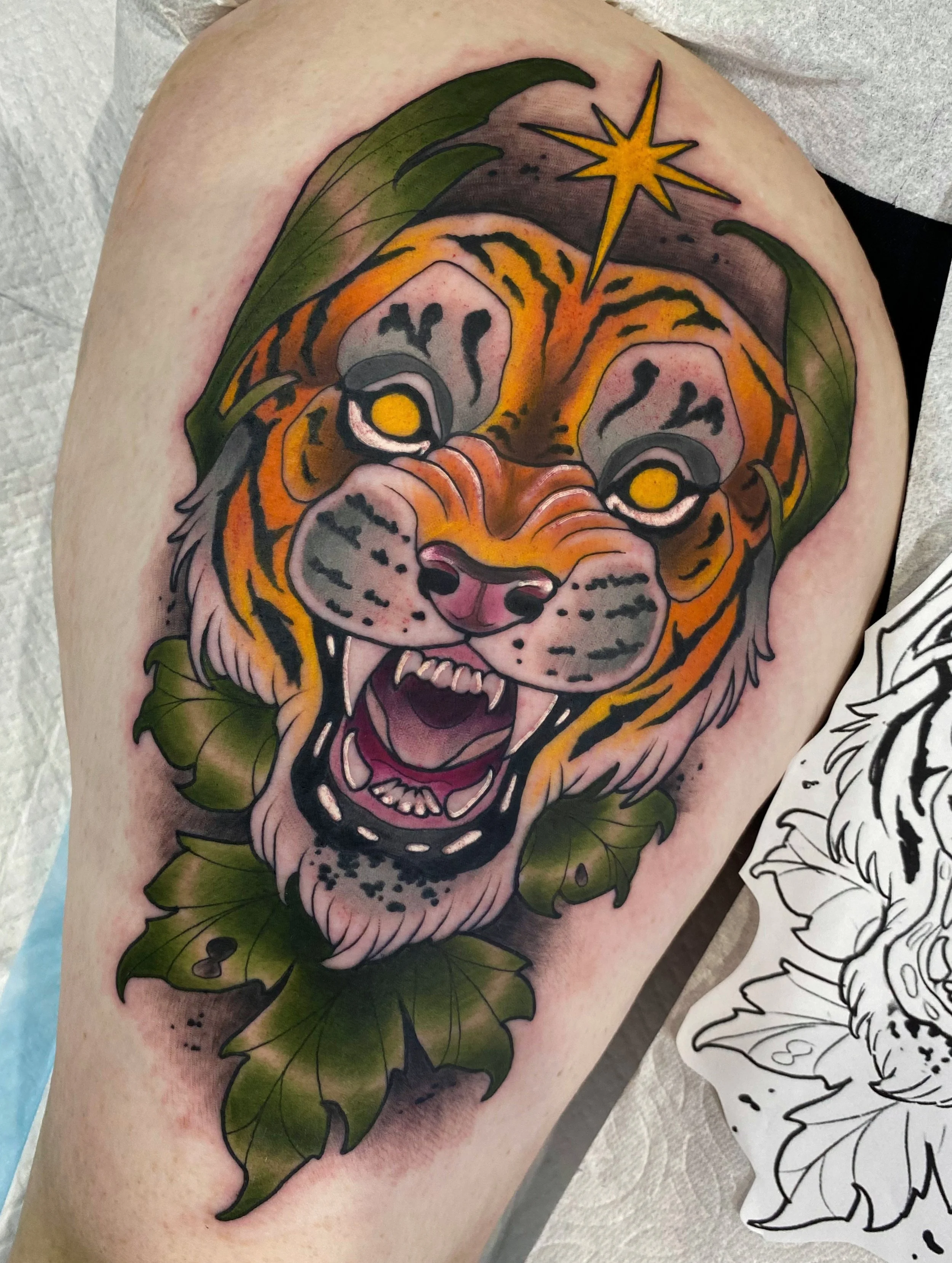 Animals + Pets