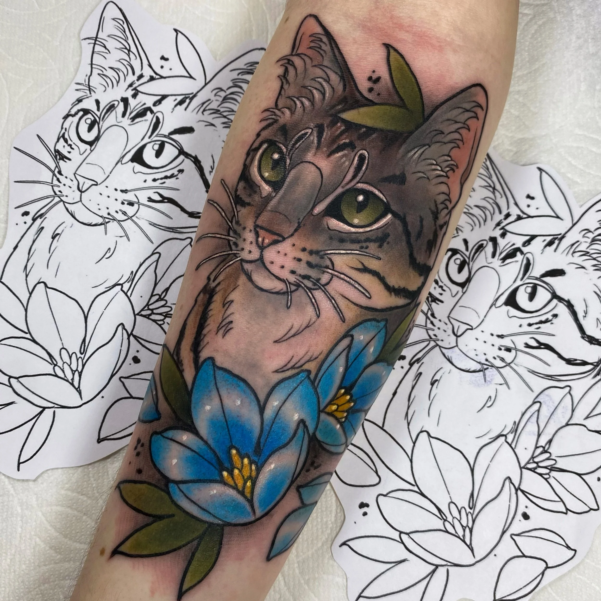 Ringo Cat Portrait.jpg