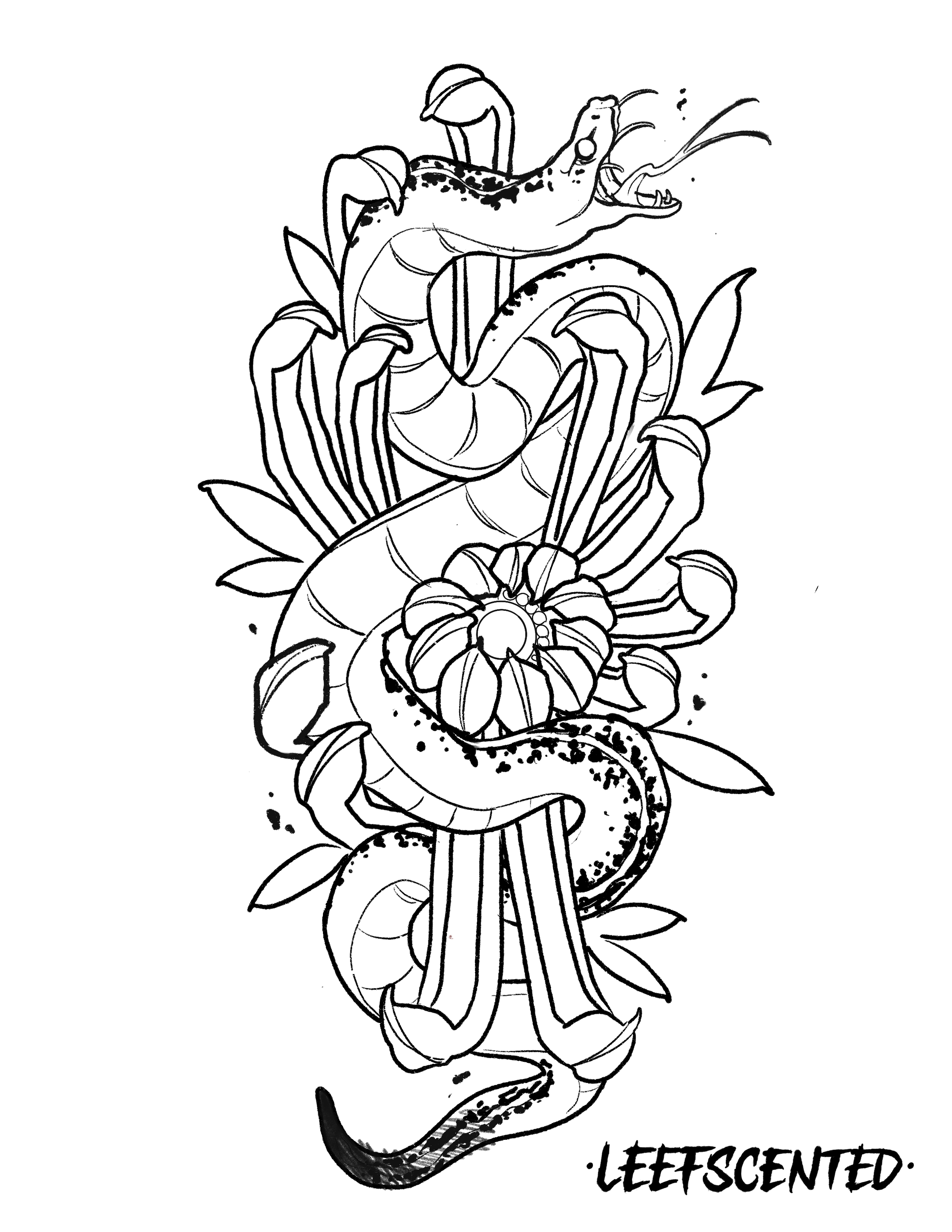 IMG_7474.PNG