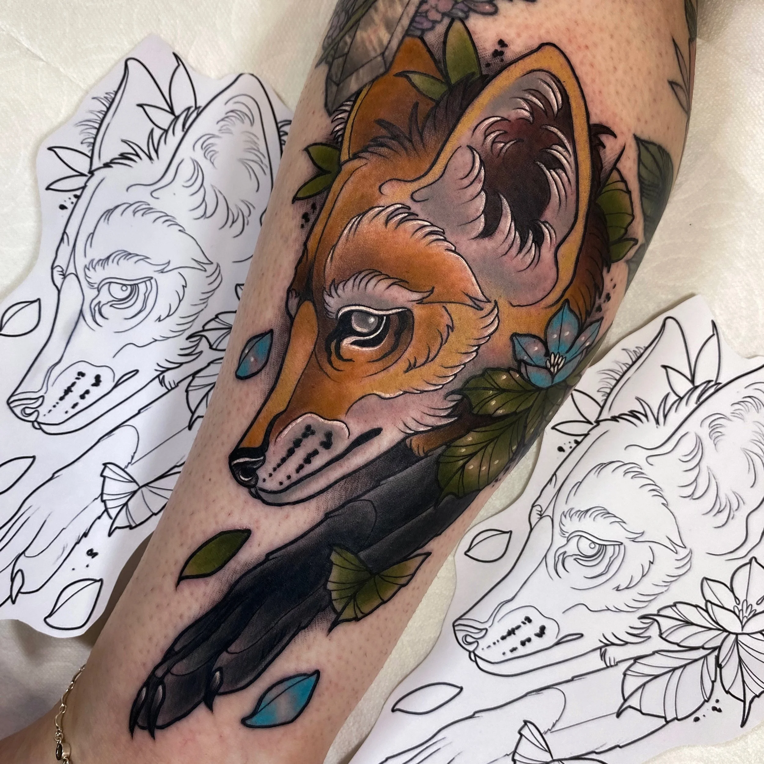 Maned Wolf.jpg