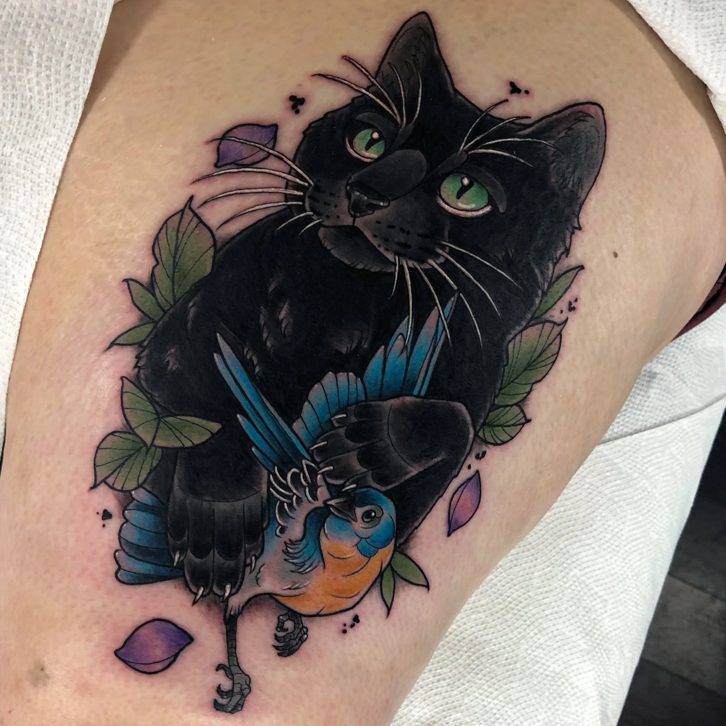 Aries Cat Portrait.jpg