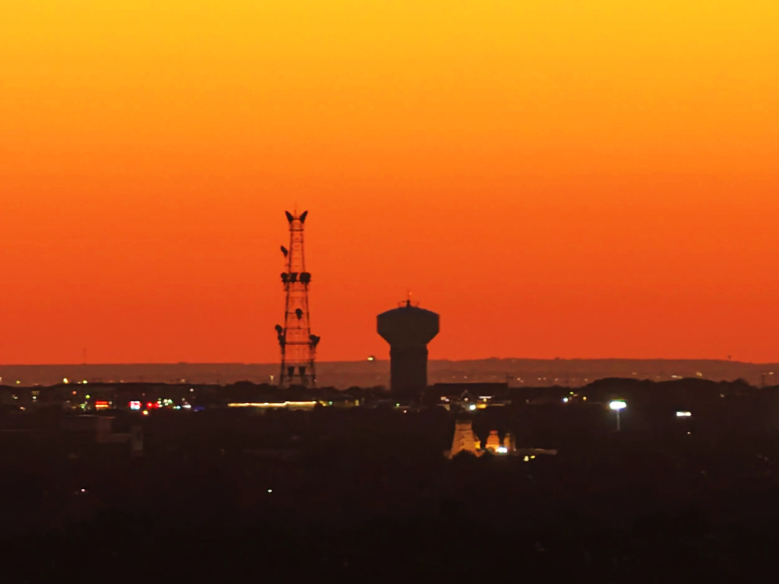 DJI_20261011192621_0425_D.png