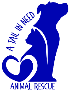 A Tail In Need Foster Guide