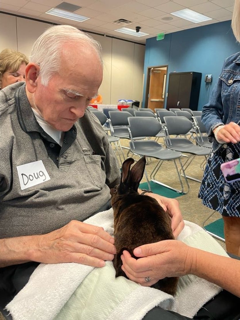 A senior man named Doug, wearing a gray polo shirt, is sitting at a table with a rabbit on a white towel. A woman is gently holding the rabbit, and the man is looking at it closely. The setting appears to be a community or event room with empty chairs and a blue wall in the background.