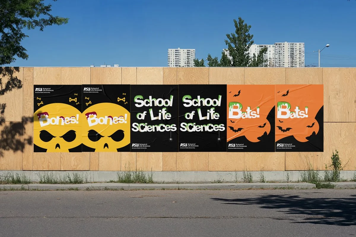 Posters pasted up on a particle board wall.