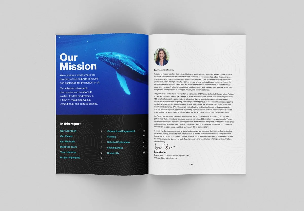 Pages-2.jpg