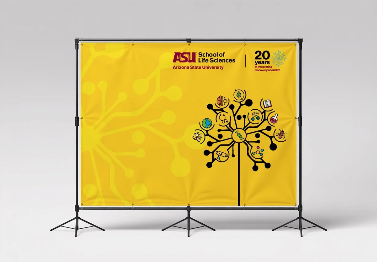 banner.jpg