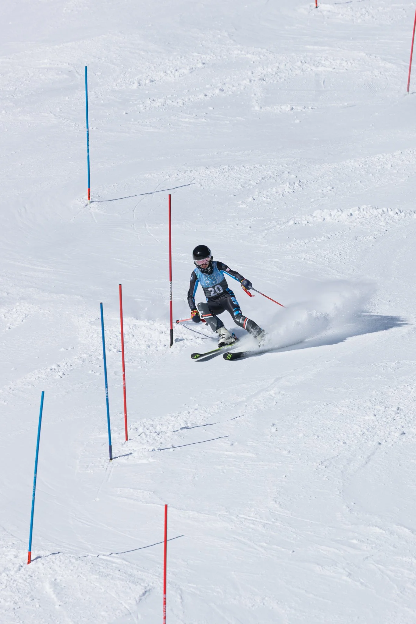 Alpine Ski MR-6.jpg