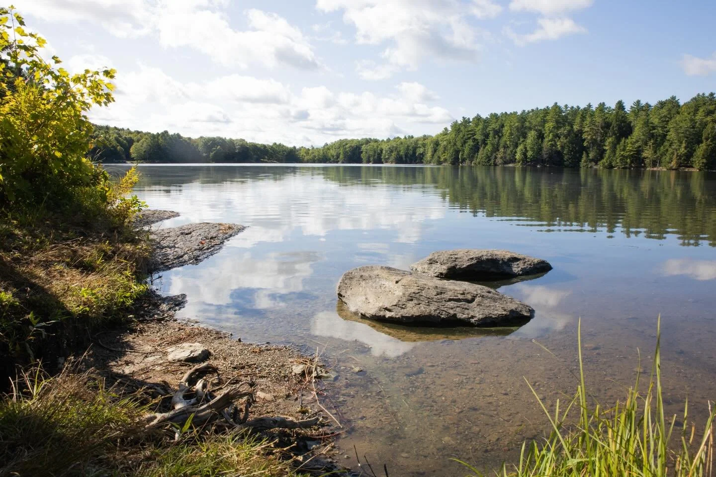 📍Indian Brook Reservoir

#reservoir #park #photography #outdoor #enviorment #photographer