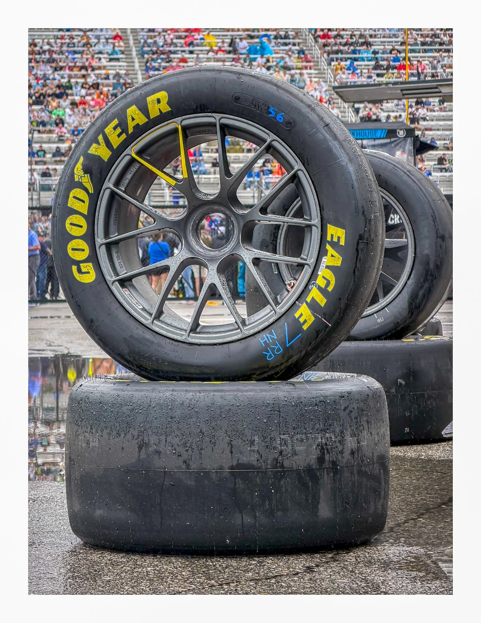 Close-up of racing slick tires stacked on top of each other, with yellow and blue lettering, set on a wet racing track with spectators in the background.