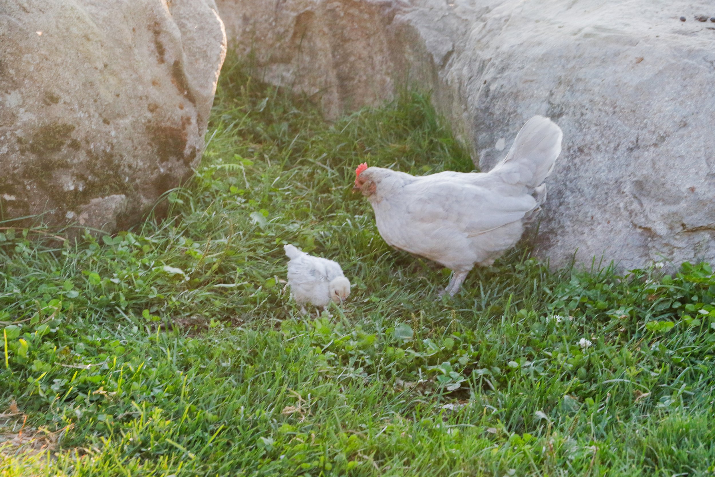 _67A3961.jpg