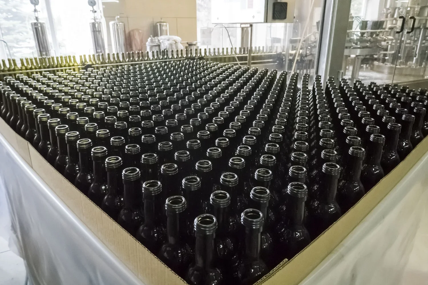 dotek wine.webp